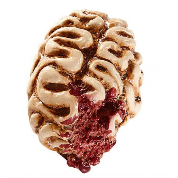 Αποκριάτικο Αξεσουάρ Εγκέφαλος (16cm)